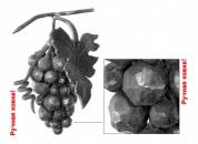 1968 Виноградные грозди (ручная ковка) 19.5x25.5 см в вашем городе фото
